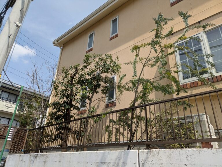 > 剪定名古屋市 天白区