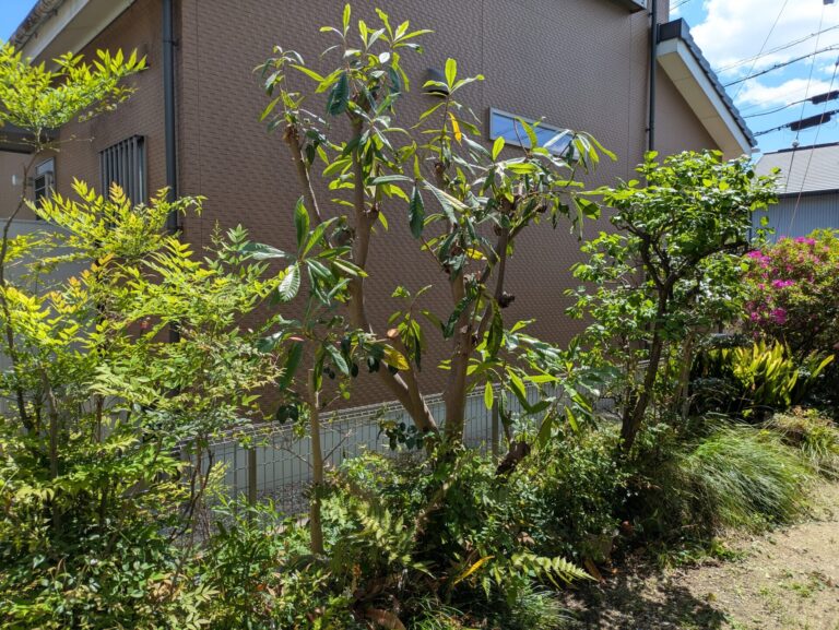 > 剪定日進市