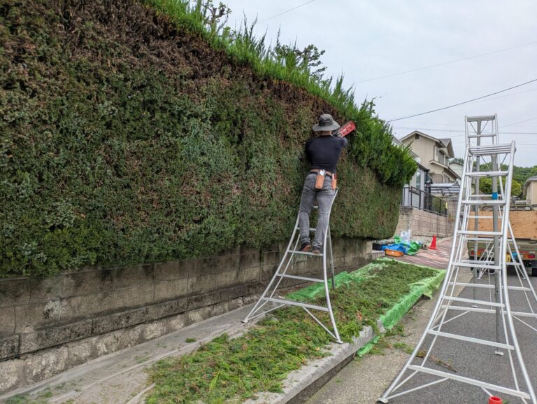 > 生垣の剪定 日進市