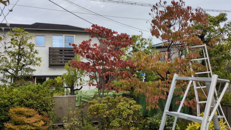 > 剪定　名古屋市緑区