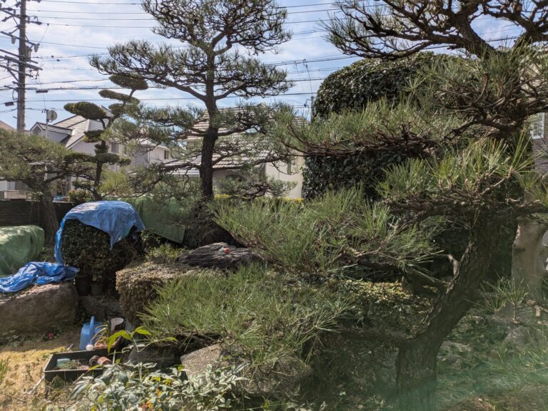 > 剪定　名古屋市緑区