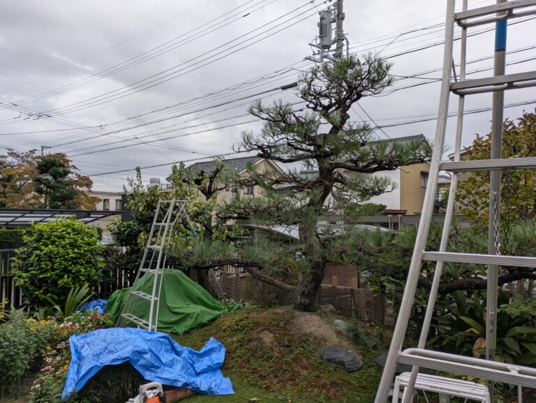 > 剪定名古屋市　名東区