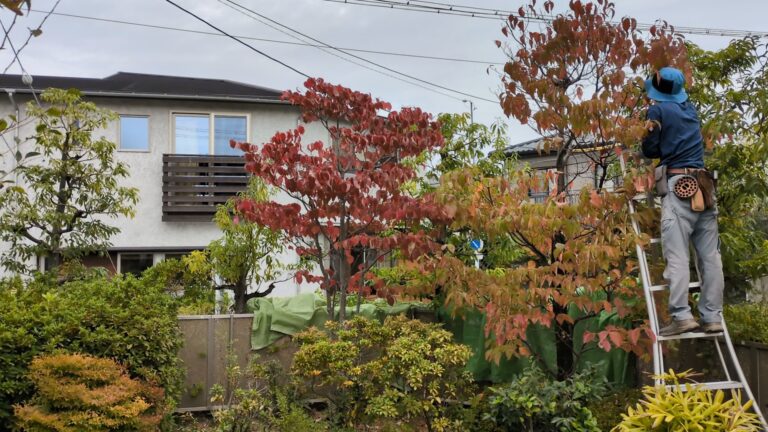 > 剪定　名古屋市緑区