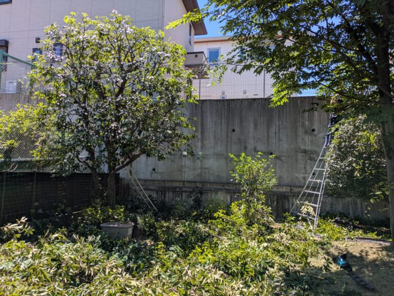 > 剪定　名古屋市千種区