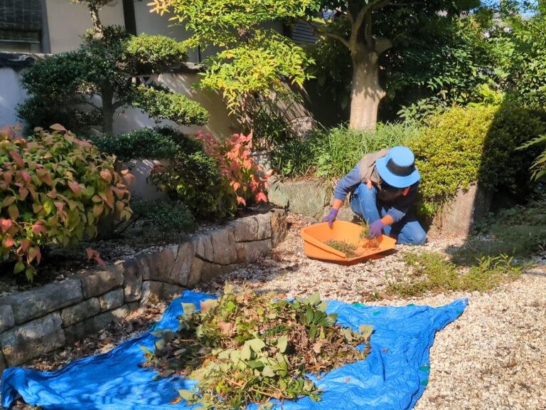 > 剪定、草刈草取り名古屋市守山区